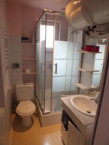 a bathroom with a shower and a toilet and a sink at Chalet Lafayette Appartement 04 in La Bourboule