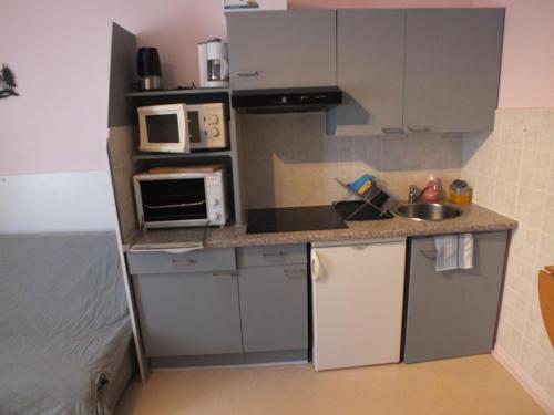 une petite cuisine avec un évier et un micro-ondes dans l'établissement Chalet Lafayette Appartement 04, à La Bourboule