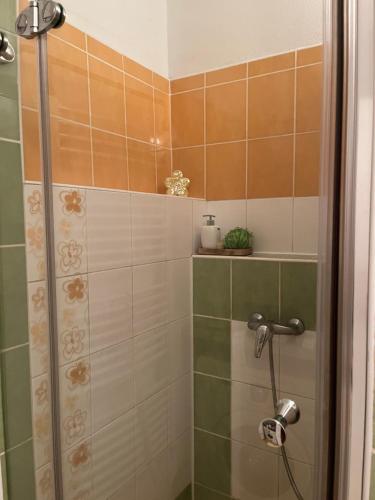 a bathroom with a shower with green and orange tiles at Apartmán Z.E.M. 