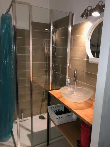 une salle de bain avec un lavabo et une douche dans l'établissement Plage & Soleil, Charmant Studio 5 minutes à pied du port et de la plage, à Saint-Cyr-sur-Mer