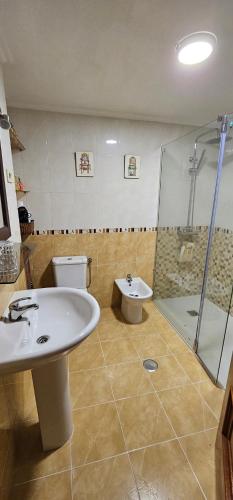 uma casa de banho com um WC, um lavatório e um chuveiro em A pie de playa em Vilariño