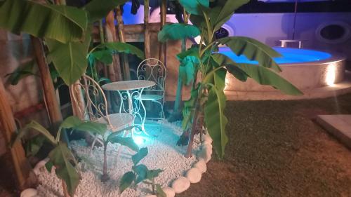 a small aquarium with a table and chairs next to a tree at B&B Domus Aurea 20 in San Giovanni Teatino