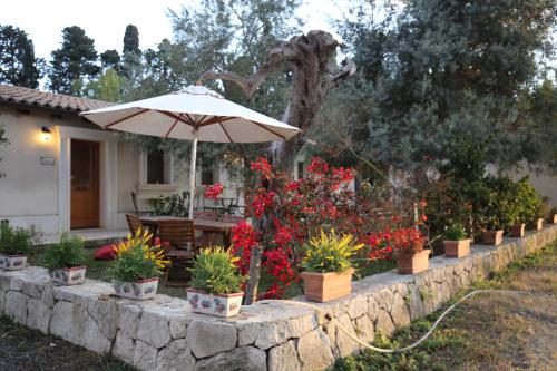 Κήπος έξω από το Villa Dei Papiri Fonte Ciane