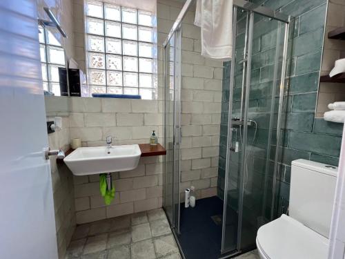 a bathroom with a sink and a shower at El nido del Rusiñol in Cervera de Pisuerga