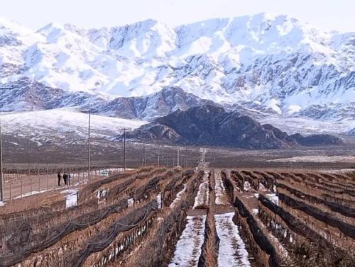 a field with snow covered mountains in the background at Alojamiento Quincho Pascual in Las Compuertas