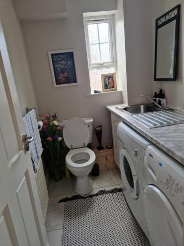 y baño con aseo, lavabo y lavadora. en Tirquin House, en Omagh