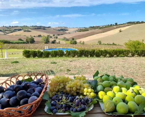two baskets of fruit on a table with a view of a field at Il Giardino nella Valle in Belvedere Ostrense