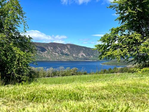 a view of a lake from a field with trees at 1 Loch Ness Heights in Inverness