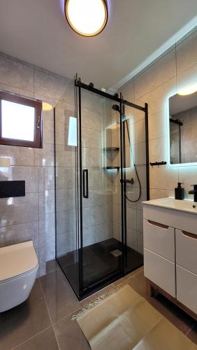 a bathroom with a shower and a toilet and a sink at Pańska Izba in Chałupy