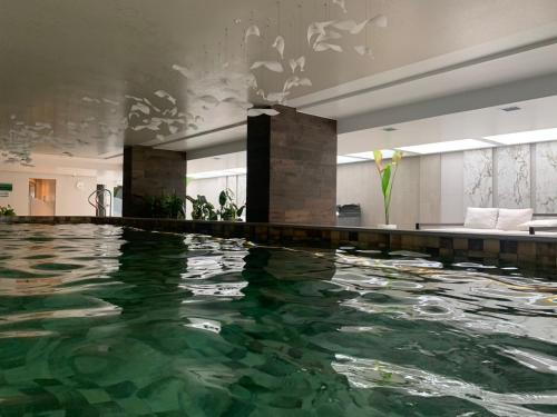 a swimming pool with green water in a room at Confort suite La Carolina in Quito