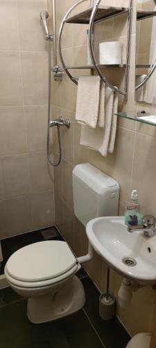 a bathroom with a toilet and a sink at Cinema House Single & Double Rooms & Studio Apartments in Pula