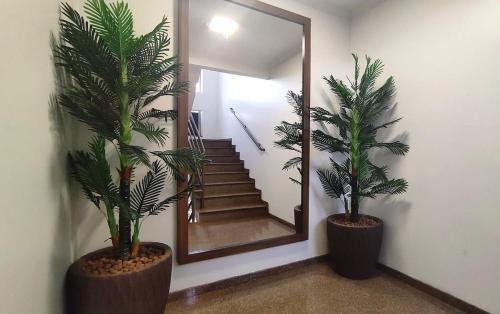 a hallway with two palm trees and a mirror at Lindos Studios Centro/Wifi/Garagem in Foz do Iguaçu