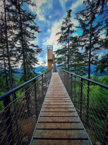 a walkway over a bridge in a forest with trees at Privat Pohoda in Paseky nad Jizerou