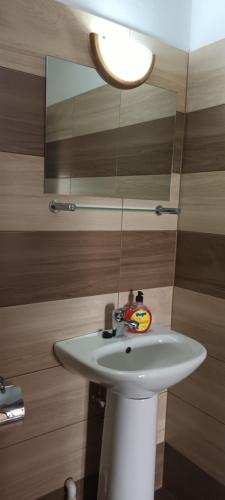 W łazience znajduje się biała umywalka i lustro. w obiekcie Betula Apartman w mieście Sovata
