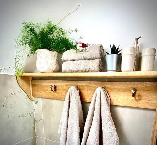 a wooden shelf with towels and plants on it at Dobré časy - Studio II in Banská Štiavnica