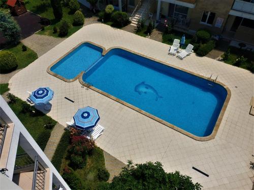 an overhead view of a swimming pool with a dolphin in it at Elisa Studio in Byala