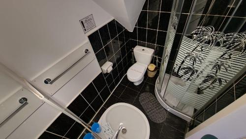 een kleine badkamer met een toilet en een douche bij Pensiunea Happy Inn in Vatra Dornei