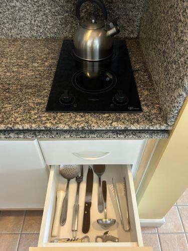 Una cocina o zona de cocina en Golfinhos Apart Hotel