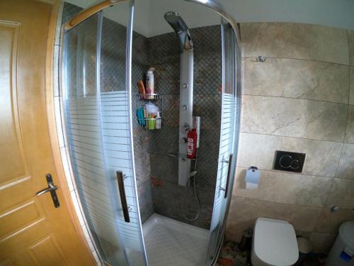 a shower with a glass door in a bathroom at Alternative Lux Apartment in Dhamoulianáta