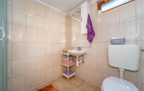 y baño con aseo y lavamanos. en 1 Bedroom Awesome Home In Mali Vrh Kamanjski, 