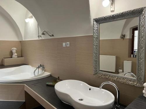 a bathroom with a sink and a large mirror at City Center Apartment in Banská Bystrica