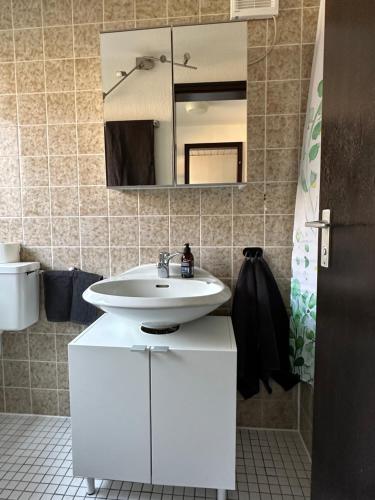 a bathroom with a white sink and a mirror at Apartment im Gründle in Birkenfeld