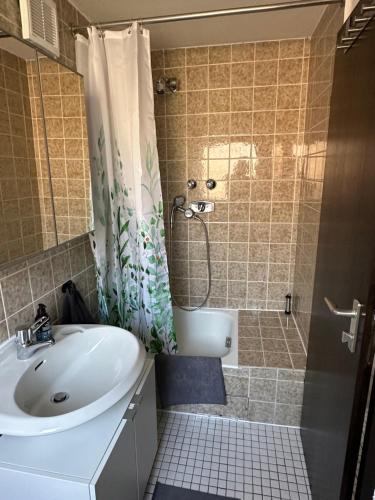 W łazience znajduje się umywalka i prysznic. w obiekcie Apartment im Gründle w mieście Birkenfeld