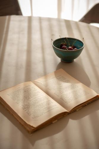an open book and a bowl of fruit on a table at CeraMio Suites in Limenas
