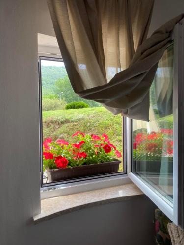 a window with a pot of red flowers in it at Studio apartment Lu in Rupa