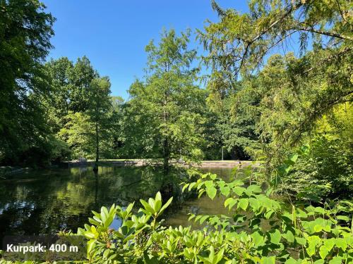 a view of a pond in a park with trees at TOP-Lage, 400 m bis GOP, Bali-Therme und Kurpark - HDZ - Parkplatz in Bad Oeynhausen