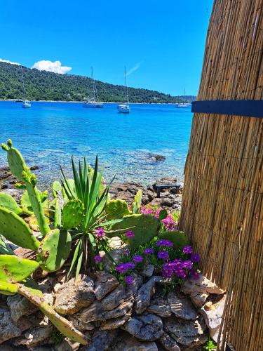 a bunch of flowers on the rocks by the water at 5D in Murter
