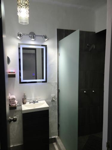 a bathroom with a sink and a mirror and a shower at Malecon uno PV Libertad 111 Centro 48300 Puerto Vallarta Jal in Puerto Vallarta