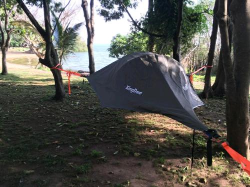 a black umbrella is tied to a tree at Banda Island Resort and Campsite in Kalangala
