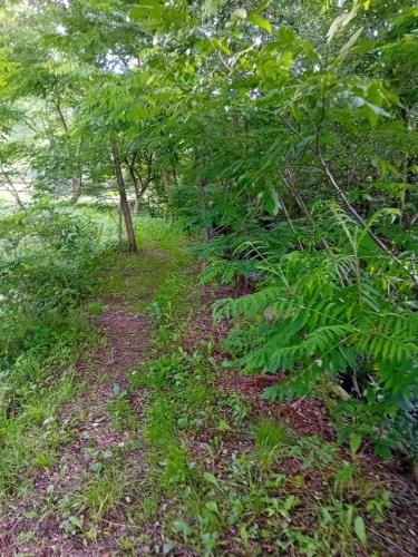 Taman di luar Cazare La Oana