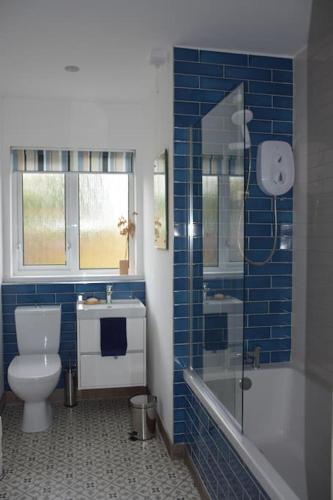 a blue tiled bathroom with a toilet and a shower at Cosy Coastal Cottage in Portballintrae in Portballintrae