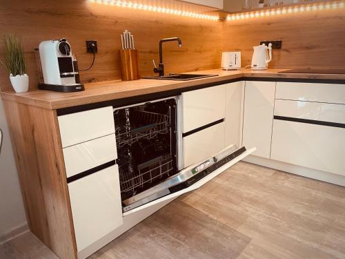Kuchyň nebo kuchyňský kout v ubytování Apartmány Petr Vok