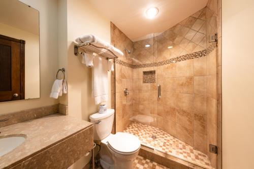 a bathroom with a shower and a toilet and a sink at Candlestone Golf and Resort in Belding