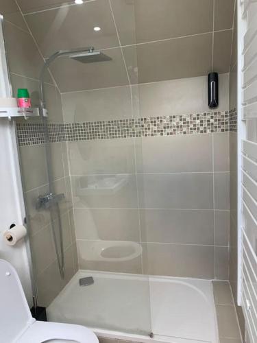 a bathroom with a shower and a toilet at Duplex très charmant in Melun