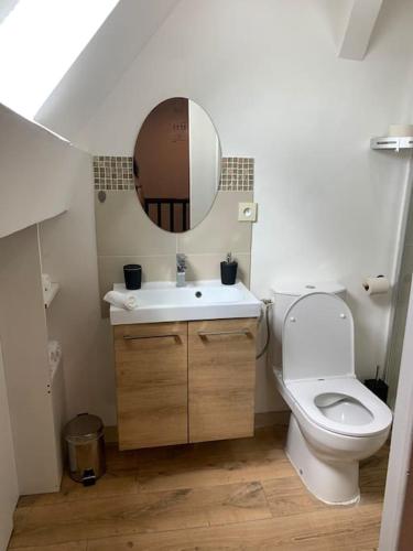 a bathroom with a toilet and a sink and a mirror at Duplex très charmant in Melun