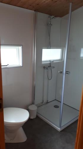 a bathroom with a shower and a toilet at Skjaldvararfoss sumarhús in Múli