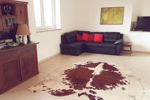 ein Wohnzimmer mit einem Sofa und einem Teppich in der Unterkunft DOMUS BARONE in Spongano