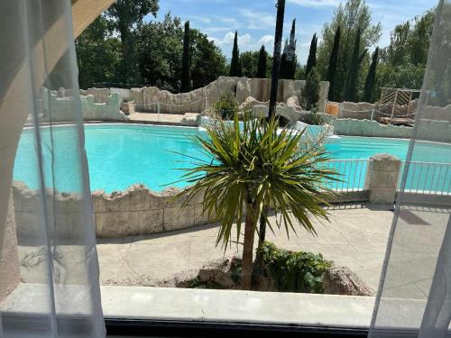 una palmera frente a una piscina en gîtes Studio de tourisme du Domaine Piscine Spa Balnéo en Lescout