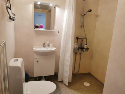 y baño con aseo, lavabo y ducha. en Tofta Konstgalleri-Hel Lägenhet 70kvm, en Varberg