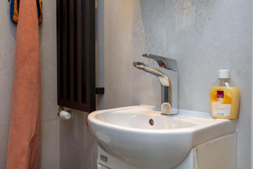 a bathroom with a sink and a bottle of soap at BnB Comfort Guesthouse Olten - Lostorf in Lostorf
