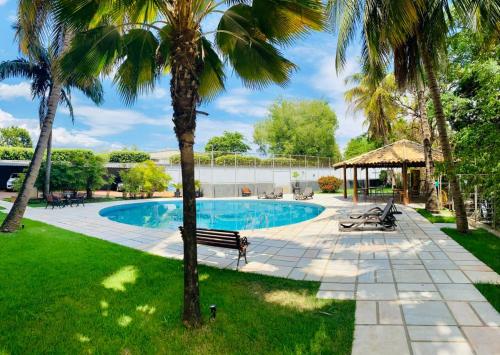 una piscina con palmeras y un cenador en Hotel Beira Rio, en Itumbiara