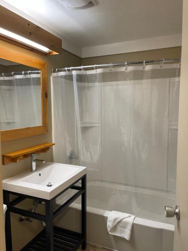 a bathroom with a shower and a sink and a tub at Northern Lights Lodge in Stowe