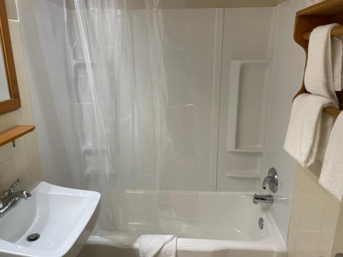 a white bathroom with a shower and a sink at Northern Lights Lodge in Stowe