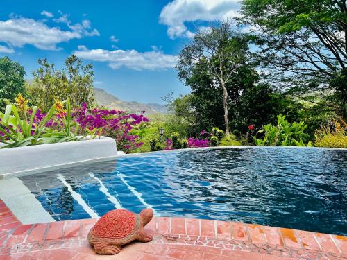 a turtle sitting next to a swimming pool at Villa La Fortuna Altos del Maria in Filipina