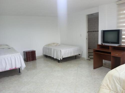 1 dormitorio con 1 cama, TV y escritorio en FINCA AMBIENTE FAMILIAR EN LA GRAN VIA, en La Gran Via