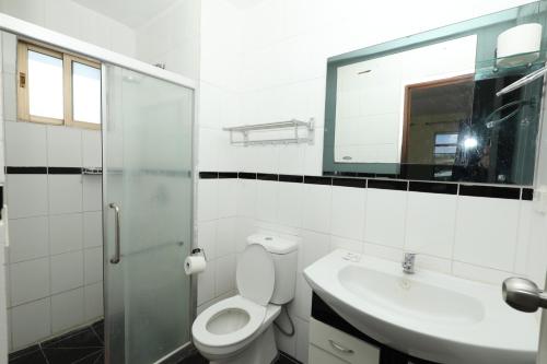 a bathroom with a toilet and a sink and a mirror at Tropical Plaza Apt in Nadi